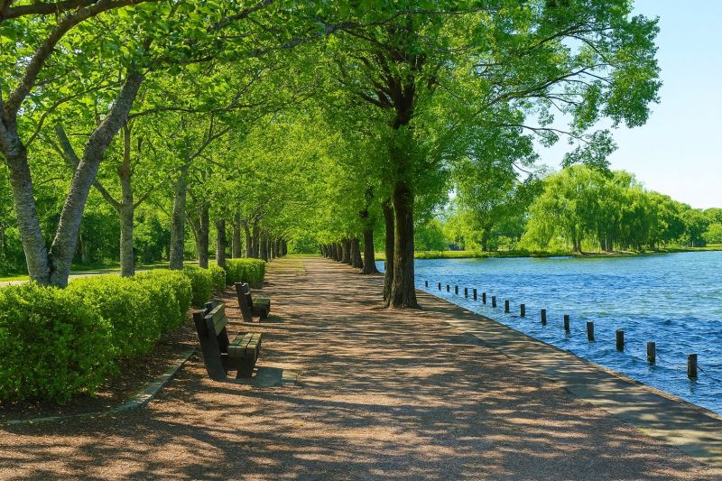 Local Accessible Tub Installation in High Ridge, MO
