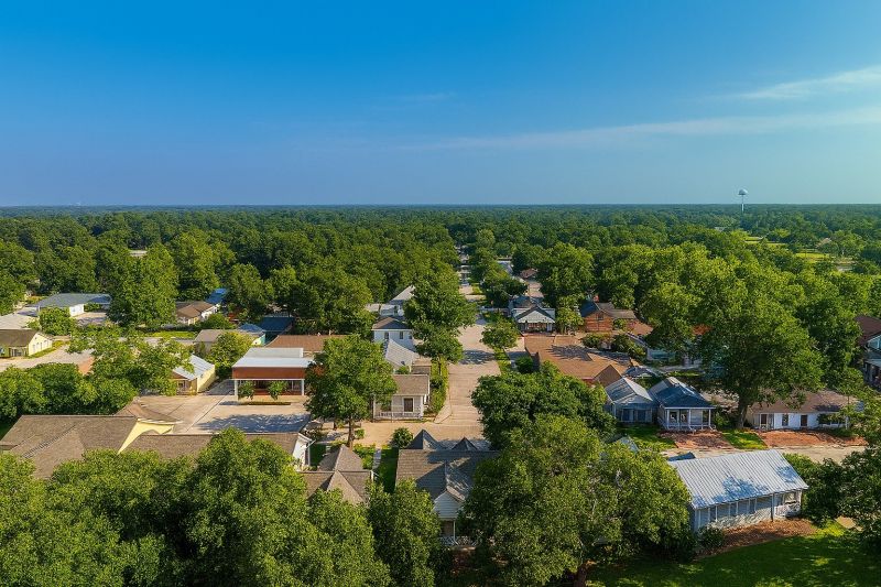 Ant Control Service in Spring, TX