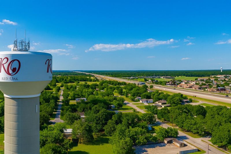 Ant Control Service in Red Oak, TX