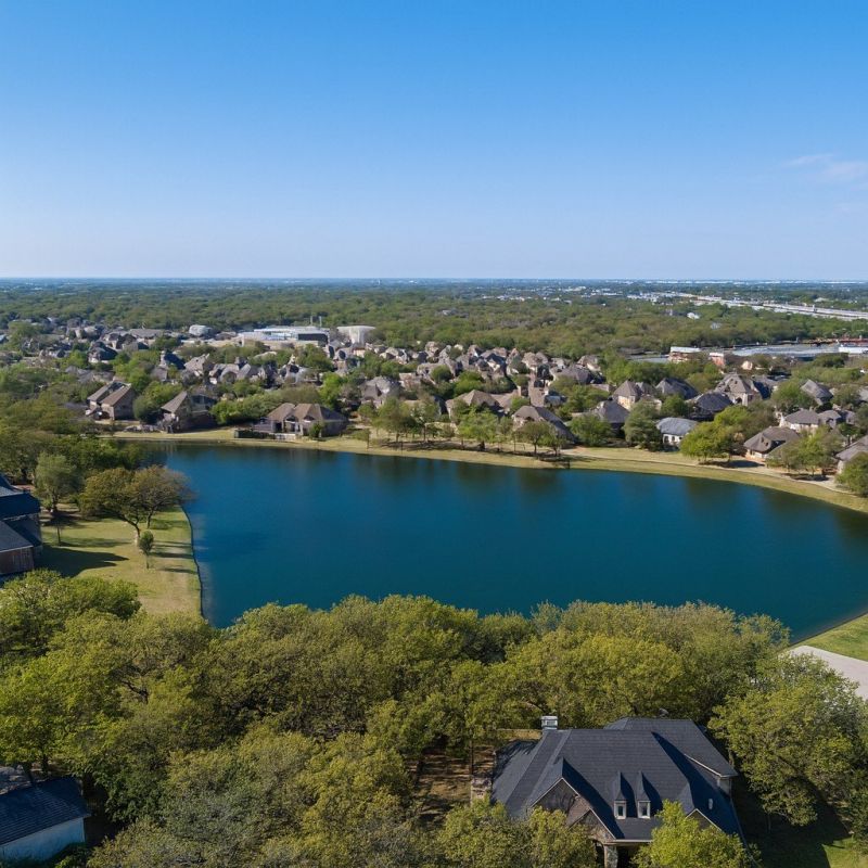 Ants Extermination Service in Euless, TX