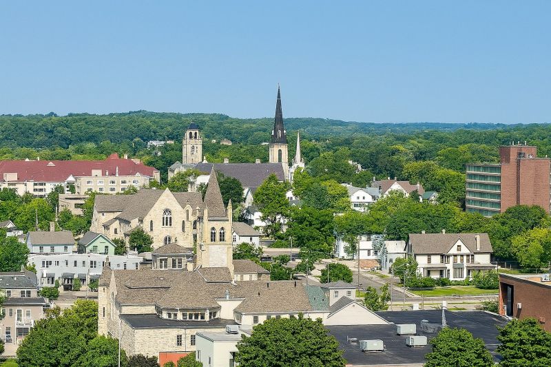 Ants Extermination Service in Waukesha, WI