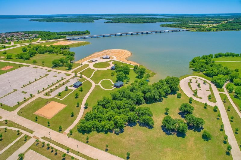 Ants Extermination Service in Little Elm, TX