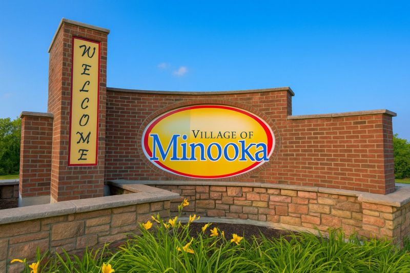 Ants Extermination Service in Minooka, IL