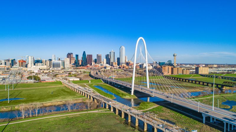 Ants Extermination Service in Dallas, TX