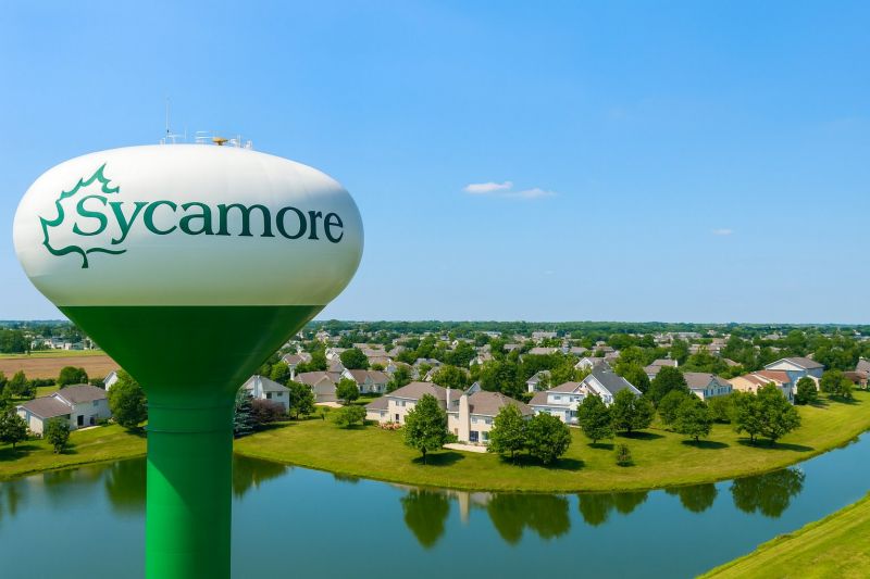 Ants Extermination Service in Sycamore, IL