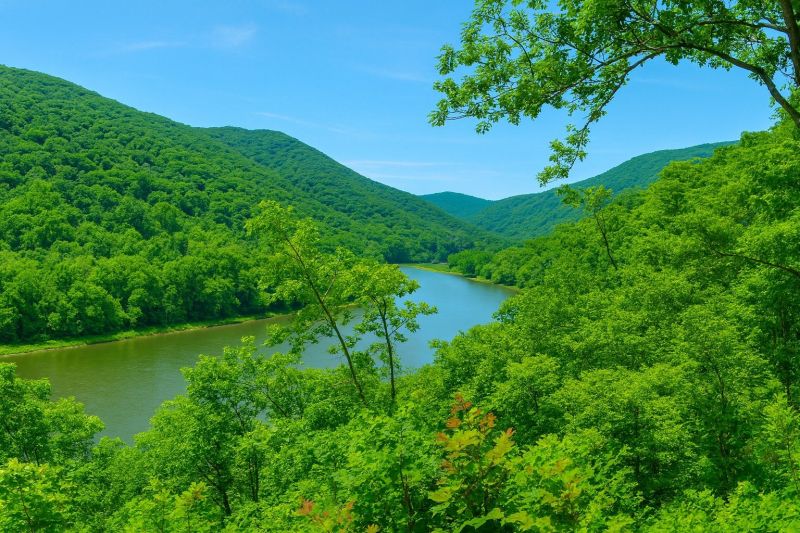 Local Basement Leak Repair in Bluefield, WV