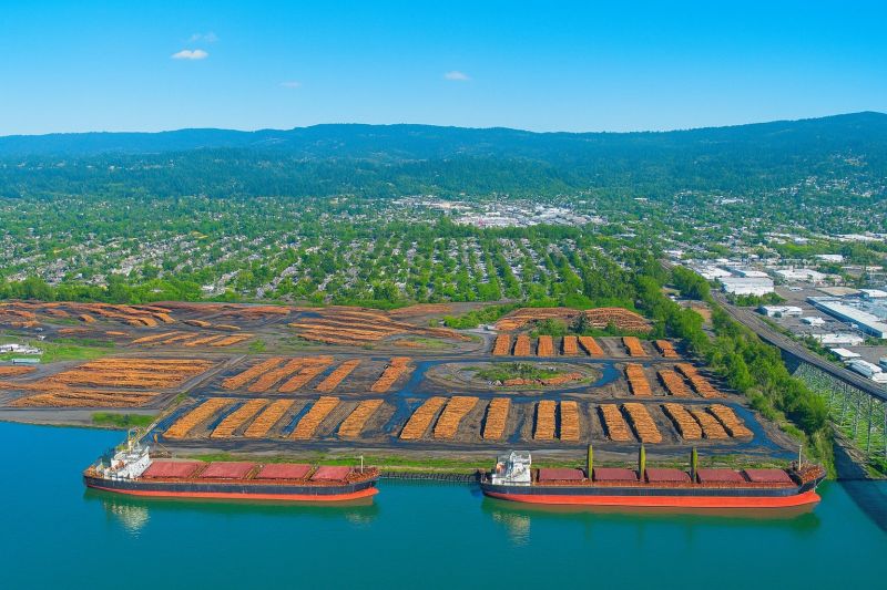 Local Bathtub Replacement in Longview, WA