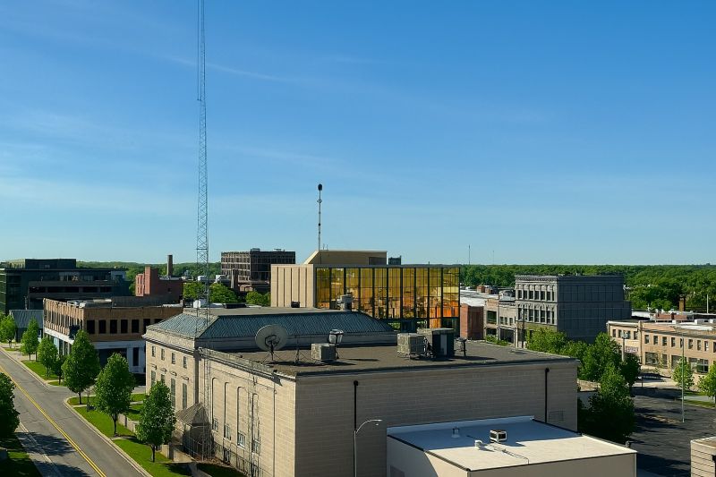 Black Ant Extermination in Kokomo, IN