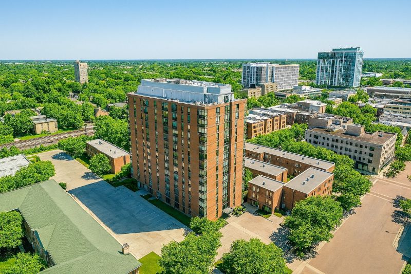 Black Ant Extermination in Oak Park, IL