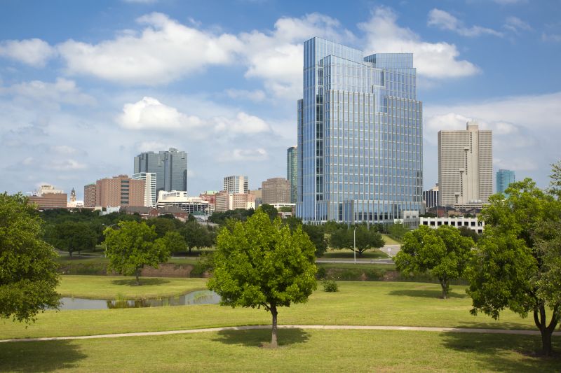 Black Ant Extermination in Fort Worth, TX