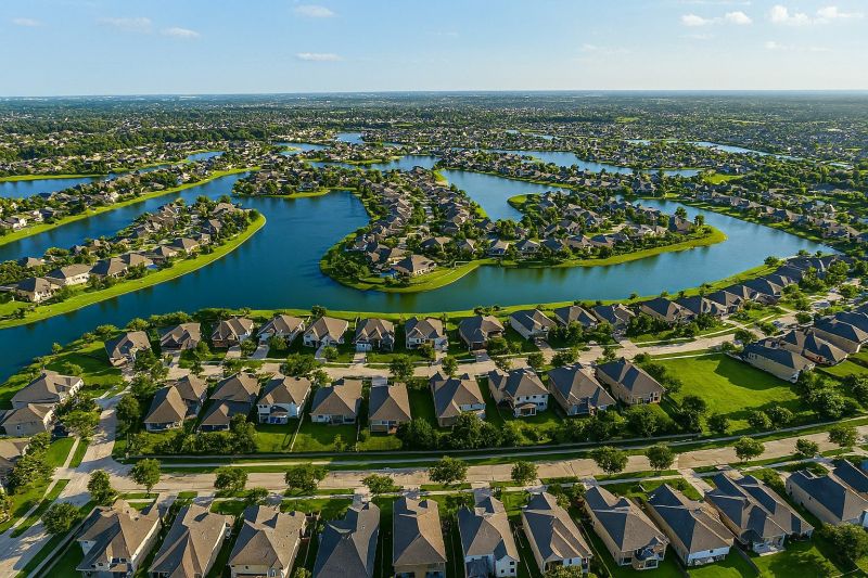 Black Ant Extermination in Cypress, TX