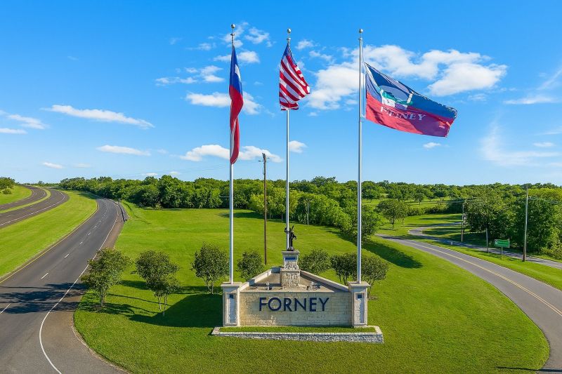 Black Ant Extermination in Forney, TX