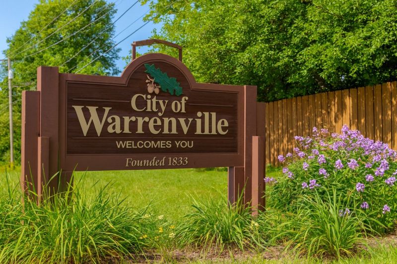 Black Ant Extermination in Warrenville, IL