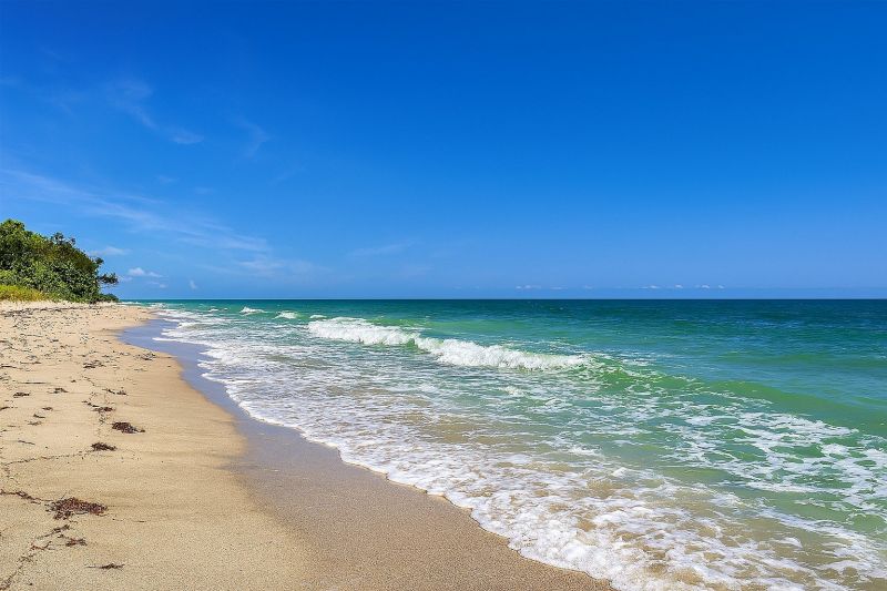 Local Building Painting Service in Dunedin, FL