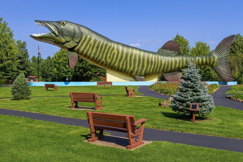 Local Building Raising in Hayward, WI