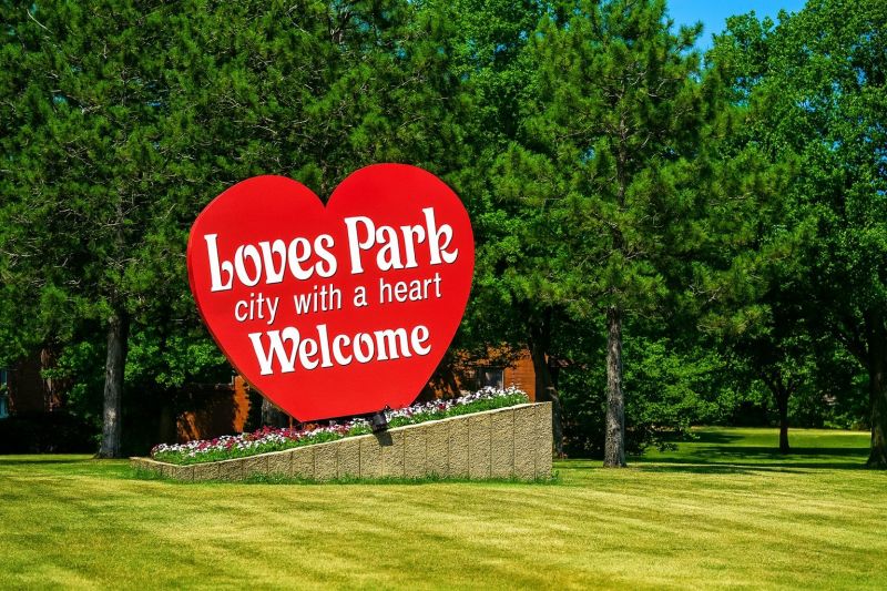 Carpenter Ant Extermination in Loves Park, IL