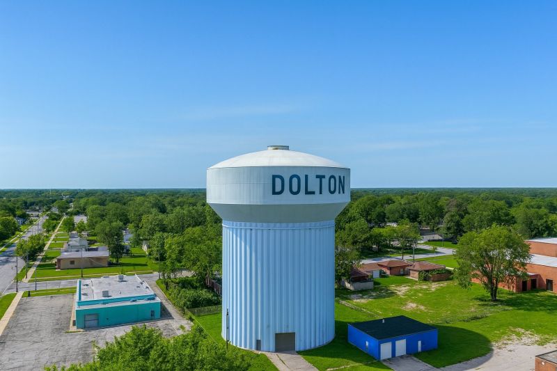 Local Carpenter Bee Removal Service in Dolton, IL