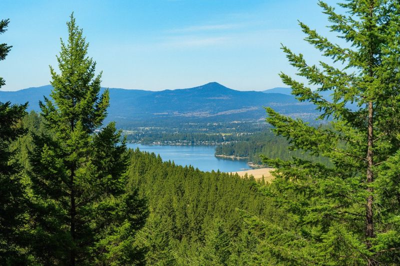 Local Carpet Installation in Liberty Lake, WA