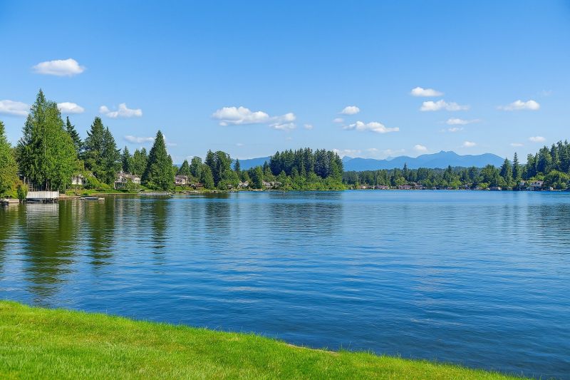 Local Carpet Service in Lake Stevens, WA