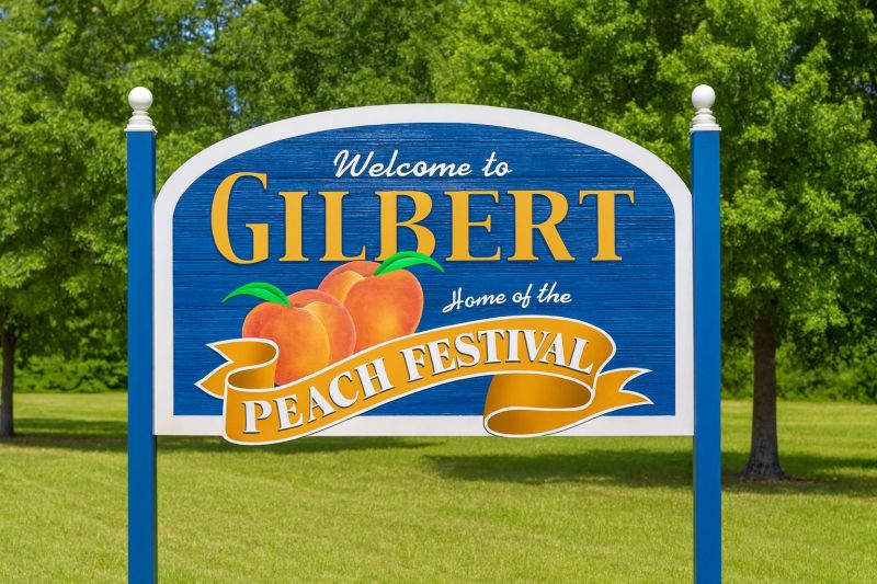 Local Carpet Service in Gilbert, SC