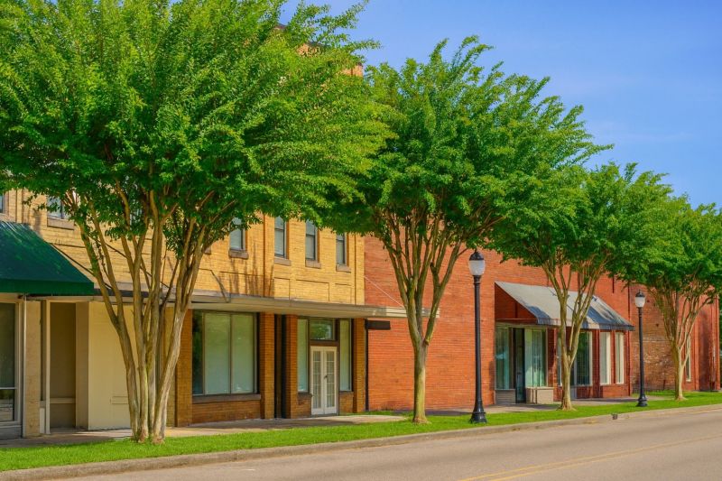 Local Engineered Wood Installation in Chipley, FL
