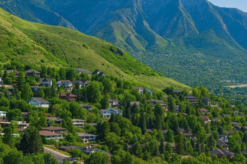 Local Extermination Service in Farmington, UT