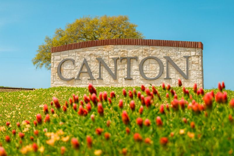 Local Flea Fumigation in Canton, TX