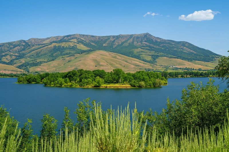 Local Fly Control Service in Eden, UT