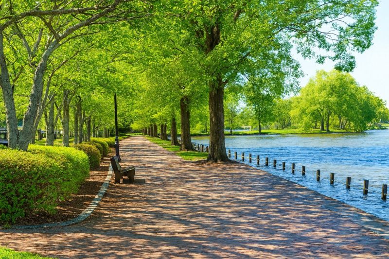 Local Foundation Crack Repair in Locust Grove, VA