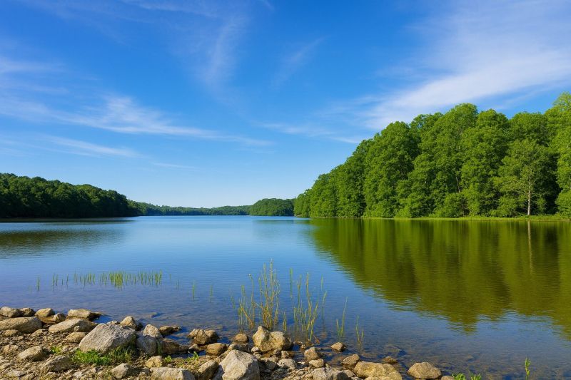 Local Home Foundation Repair in Burke, VA