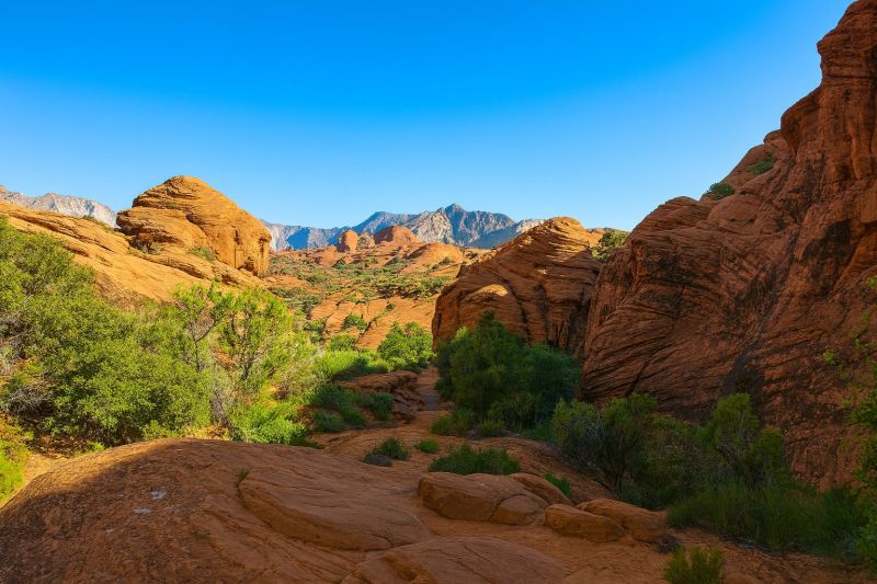 Local Home Water Filtration Service in Ivins, UT