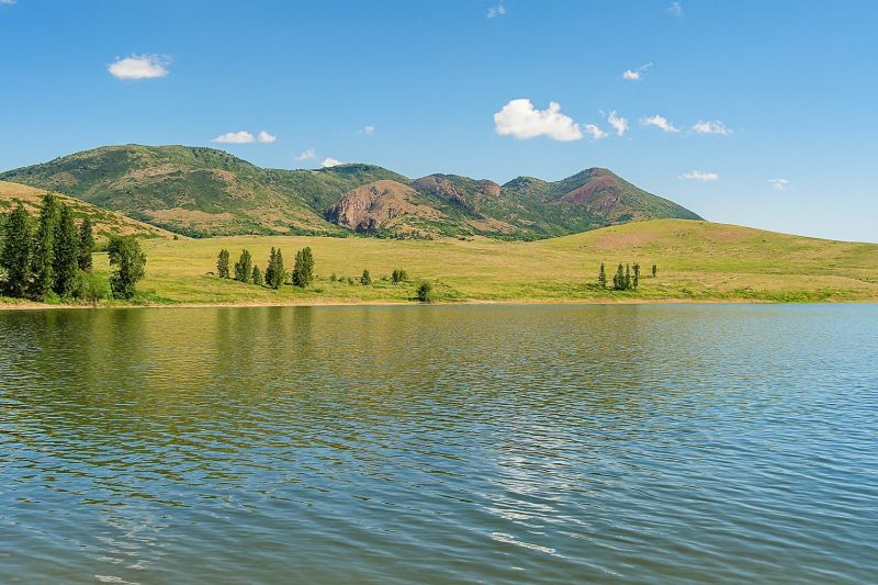 Local Insect Extermination Service in Morgan, UT