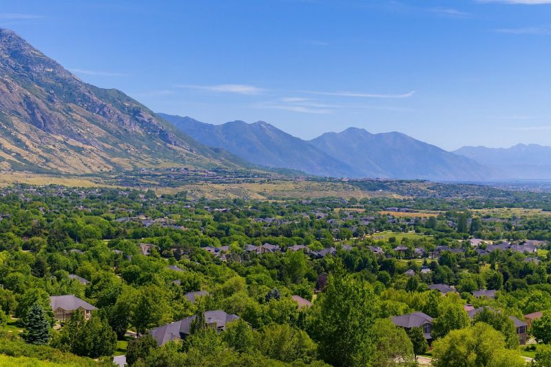 Local Insect Extermination Service in Alpine, UT