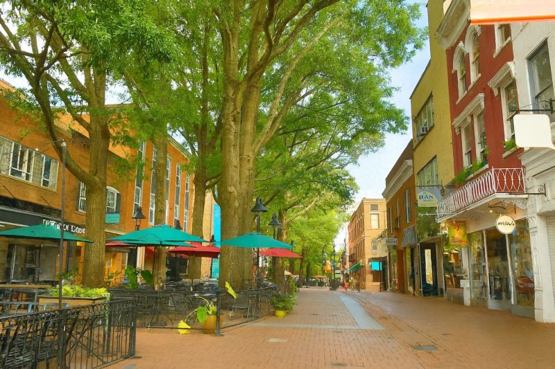 Local Lvt Flooring Installation in Altamonte Springs, FL