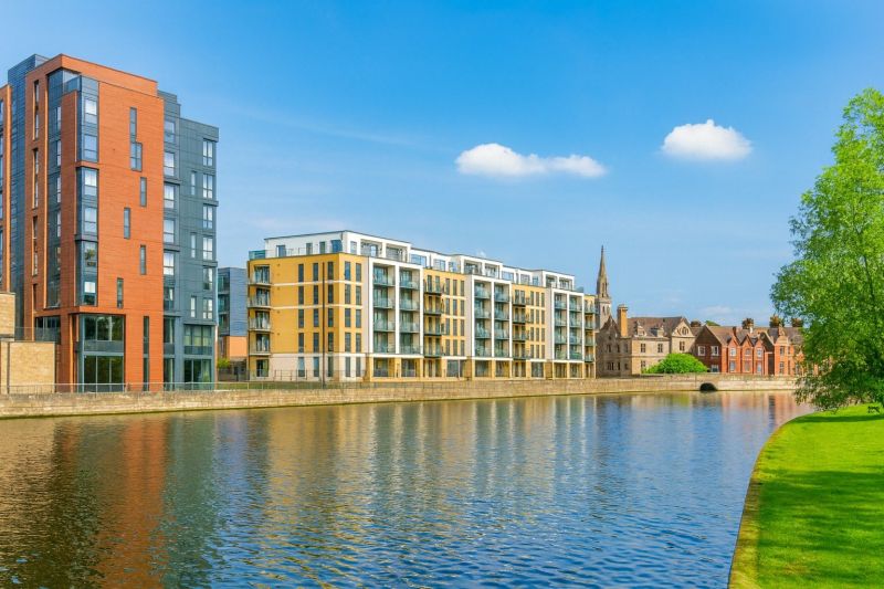 Local Pest Control Service in Bedford, TX