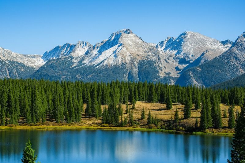 Local Piling Repair in Lafayette, CO