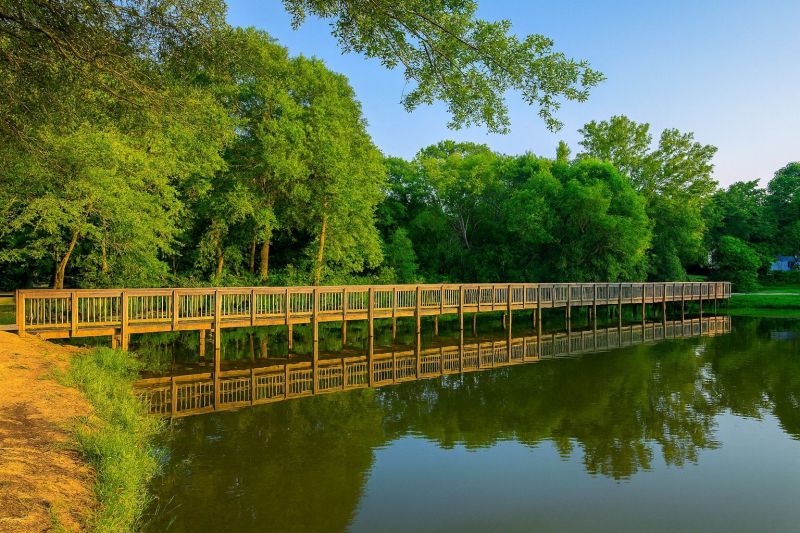 Local Piling Repair in Davidson, NC