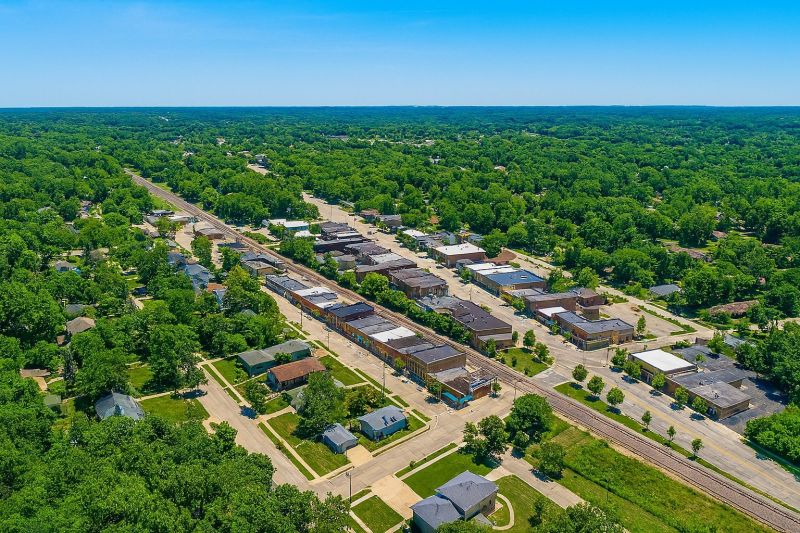 Local Red Ant Extermination in Cary, IL