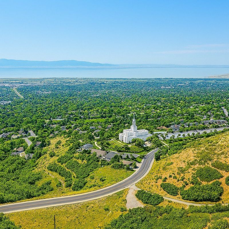 Local Red Ant Extermination in Bountiful, UT