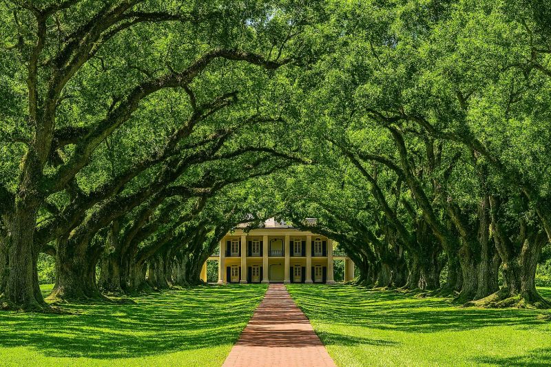 Local Ro System Installation in Mandeville, LA