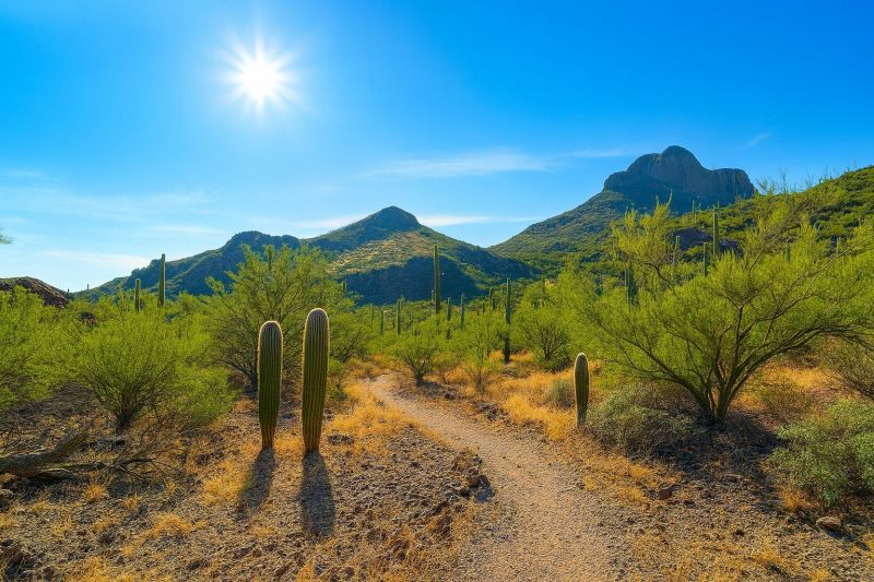 Local Ro System Installation in Marana, AZ