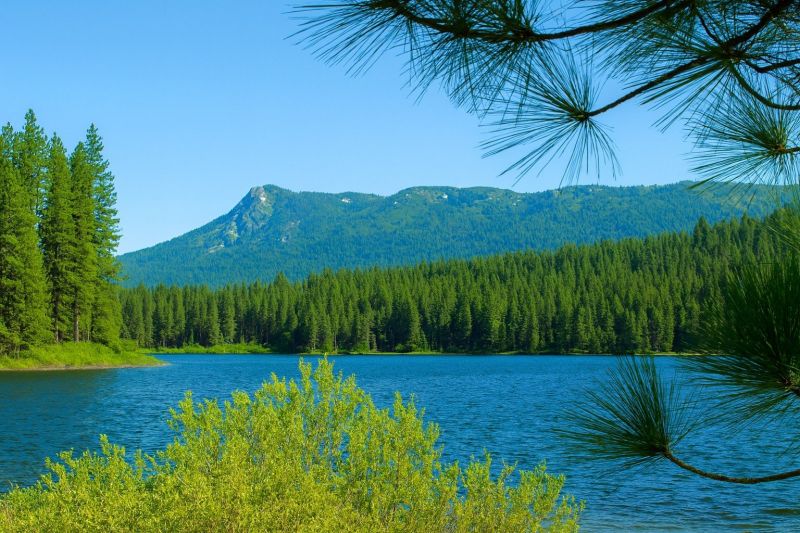 Local Senior Tub Installation in Antelope, CA