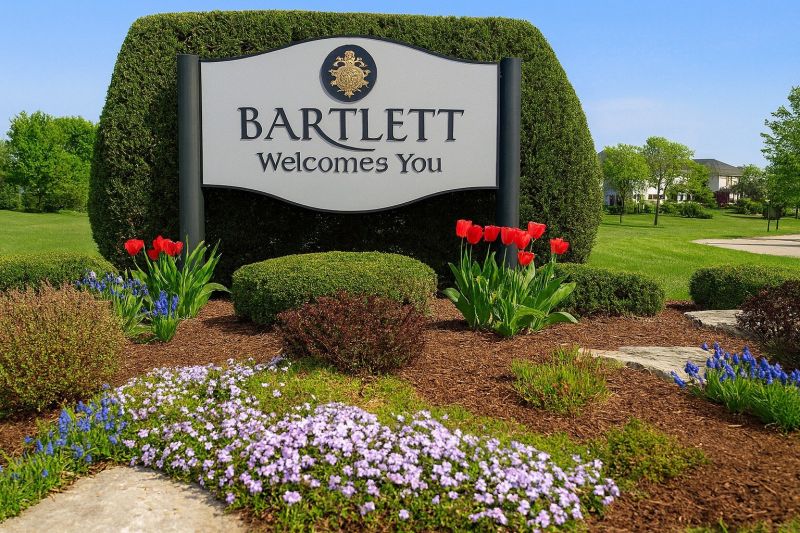 Local Spider Control Service in Bartlett, IL