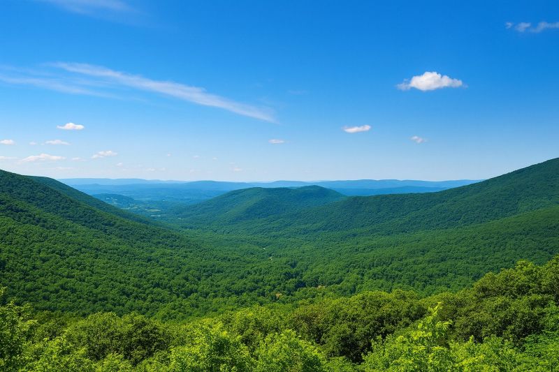Local Tub Conversion Service in Forest, VA