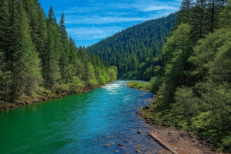 Local Walk In Tub Service in Roseburg, OR