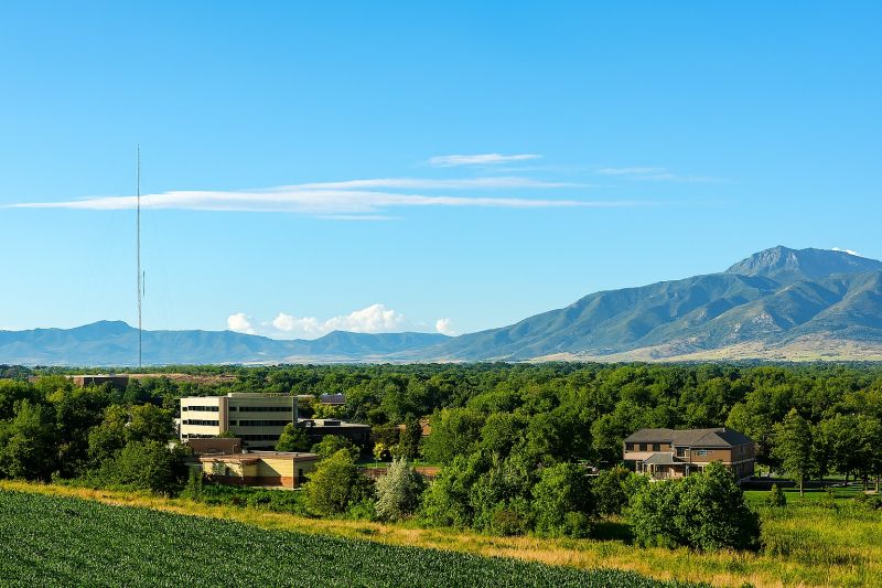 Local Wasp Extermination Service in Layton, UT