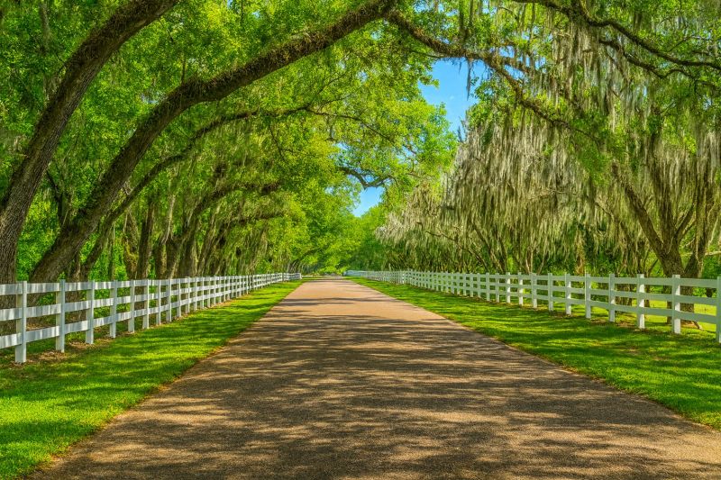 Local Water Softener Installation in Breaux Bridge, LA