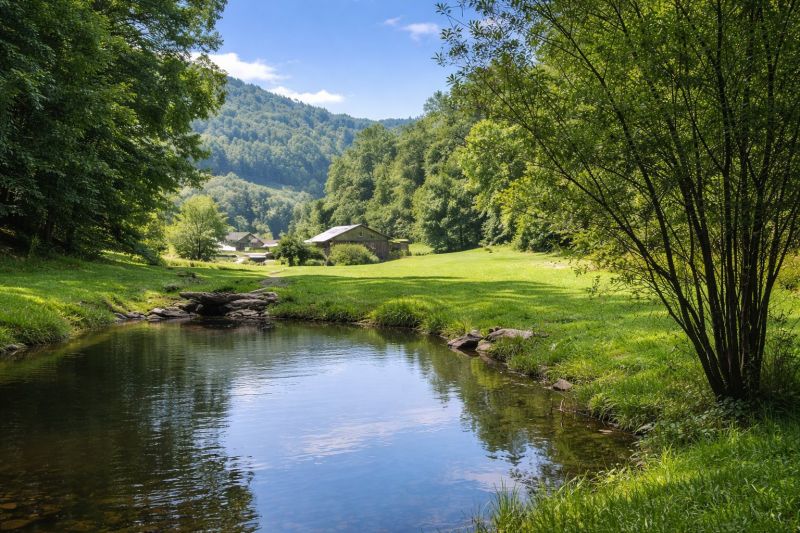 Water Treatment Service in Leicester, NC