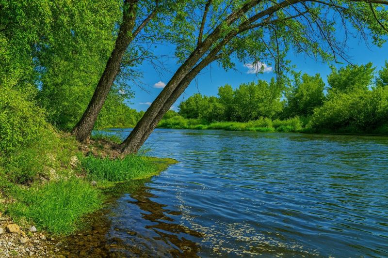 Local White Oak Floor Installation in Middleton, ID