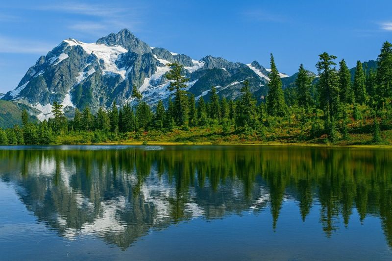 Local Window Remodeling in Maple Valley, WA